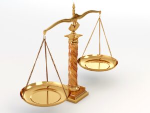 EL PERITAJE: LEY Y PRÁCTICA PARA EL EJERCICIO PROFESIONAL