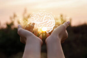 Neuroeducación: cómo optimizar el proceso de enseñanza-aprendizaje