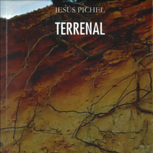 Presentamos el libro «Terrenal», de Jesús Pichel.