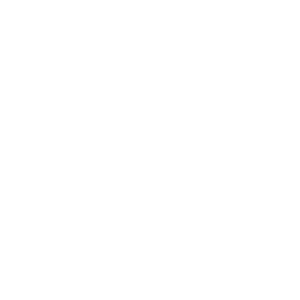 Icono Minerva